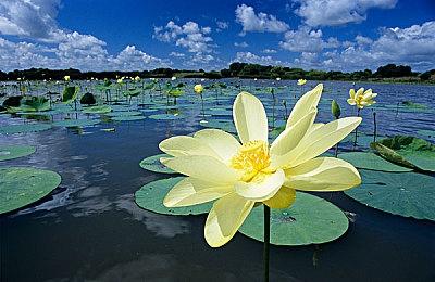 近50%的英国玩家愿意为《GTA6》升级游戏主机