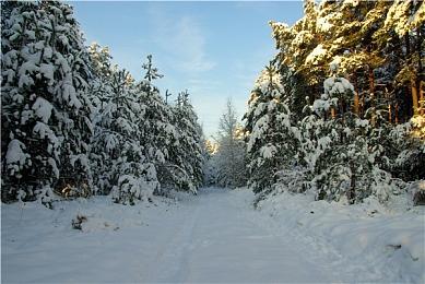 NS《符文工厂5》附带购买特典的数字版开放预购