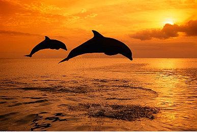 2D平台动作冒险游戏《雷夫的冒险：冥界英雄》现已正式推出 获得好评